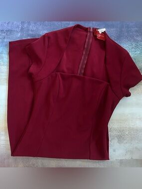 Akira Red Label Chicago Burgundy Fitted Dress